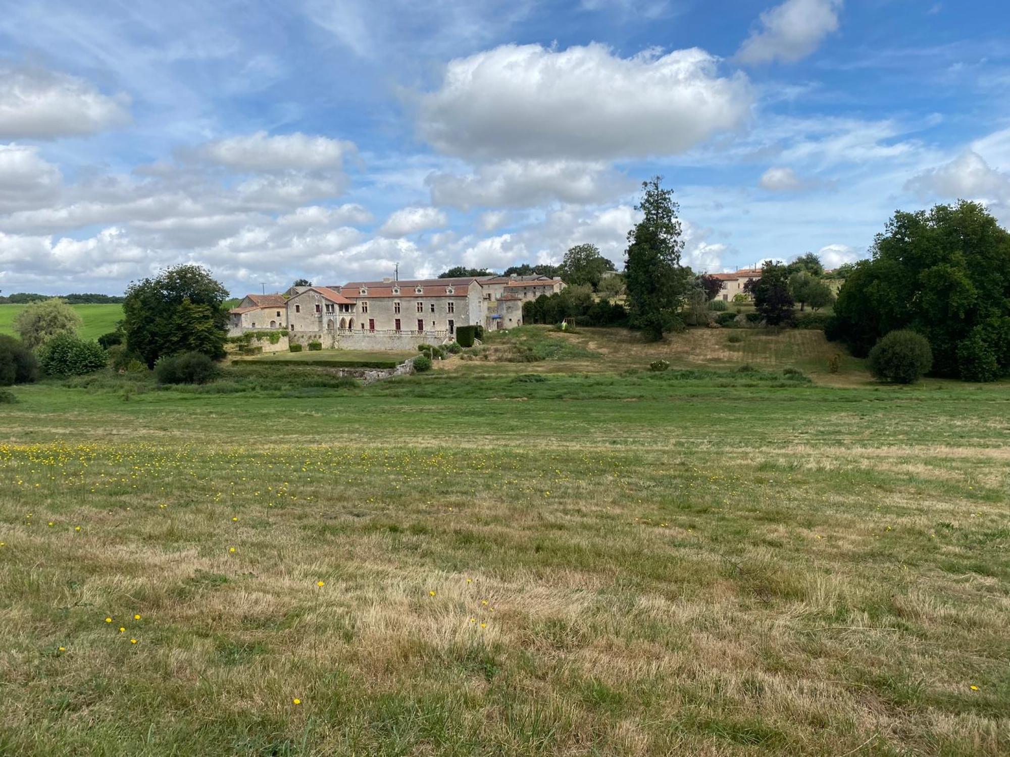 Chateau De Cibioux Surin  Extérieur photo