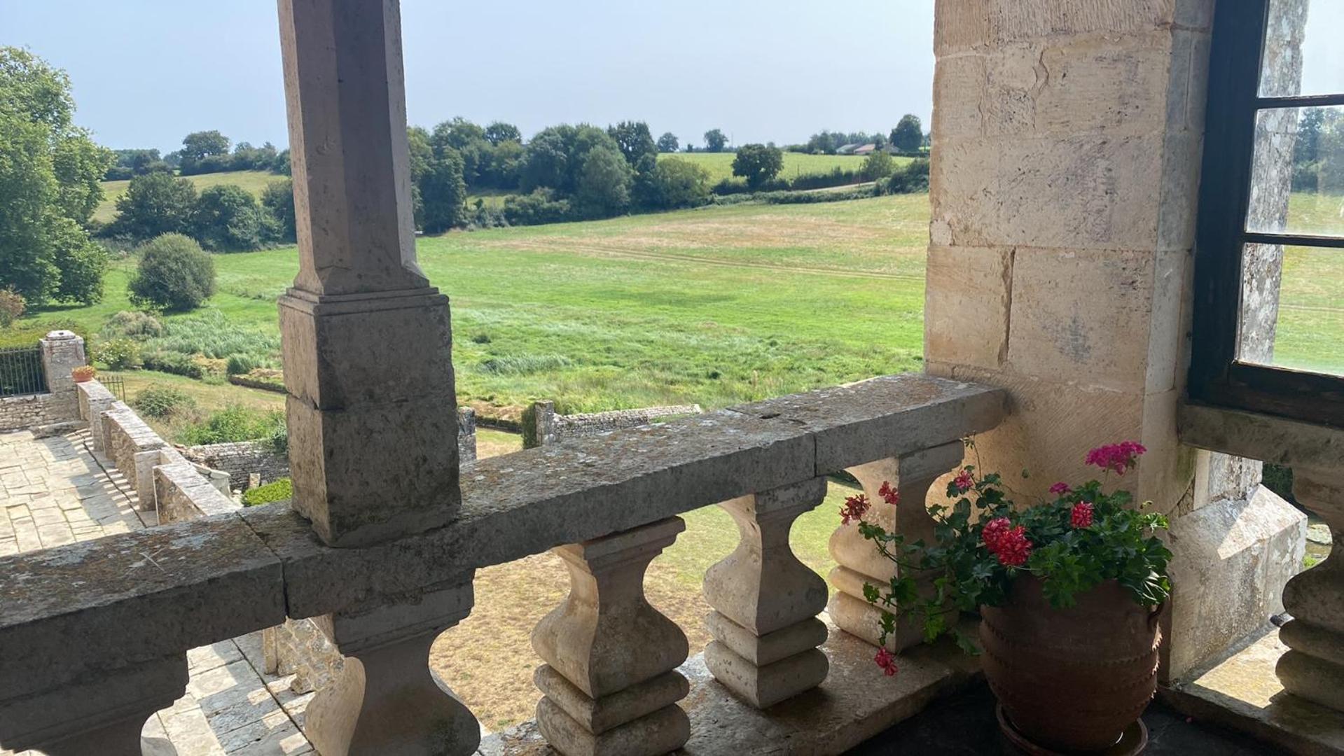 Chateau De Cibioux Surin  Extérieur photo
